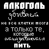 avatar_Seruy888
