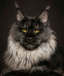 avatar_Karl_3